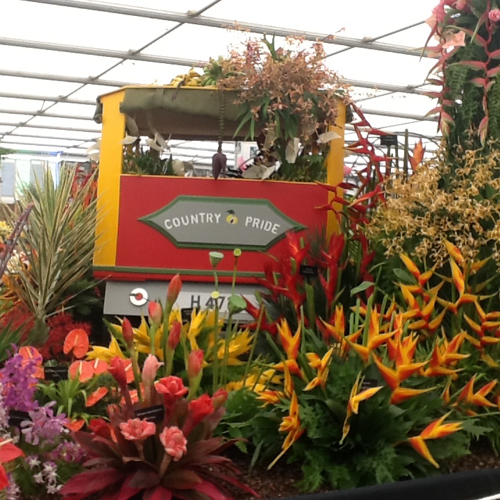 Grenada Wins 14th GOLD MEDAL at RHS Chelsea Flower Show Wee 93.3/9 FM