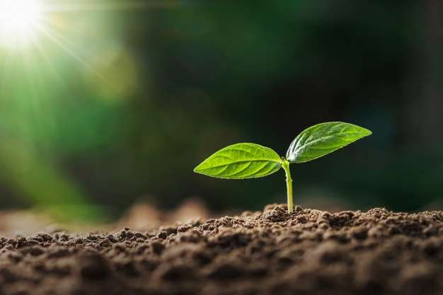 Financial Management Training & Legal Aid Launched For Agribusiness Owners In St. Patrick